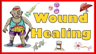 Wound Healing Mechanism Types Primary Secondary amp Tertiary intention of healing amp Complications [upl. by Tare]