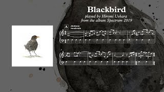 Blackbird  Hiromi Uehara  Piano Transcription [upl. by Nuahsor]