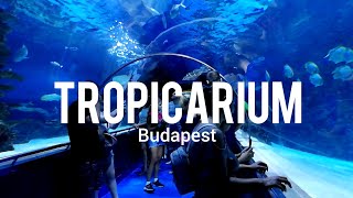 Tropicarium Budapest [upl. by Arehs]