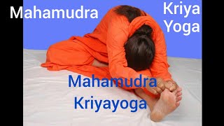 Mahamudra Kriyayoga Swami Nityananda Giri [upl. by Leavy]