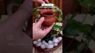 shivlingpooja diyfountain mahashivratri shivratrispecial poojadecor [upl. by Nies744]