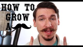 How To Grow and Style a Handlebar Mustache  A Tutorial  Matt Tastic [upl. by Uht]