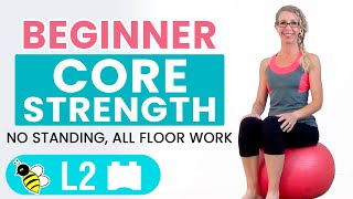 BEGINNER CORE  15 Minute STABILITY BALL Workout for BEGINNERS [upl. by Eninotna]