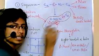 Peptide bond [upl. by Harleigh]