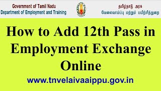 How to Add 12th Qualification in Employment Exchange OnlineHSC Pass [upl. by Basilio]