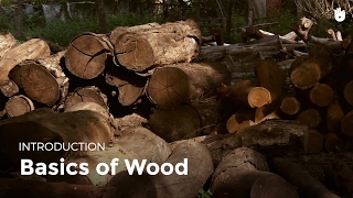 Basics of Wood  Woodworking [upl. by Servais453]