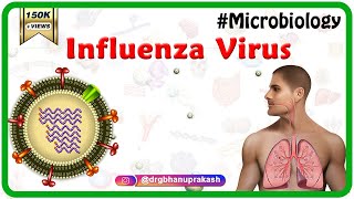 Influenza Virus Microbiology Animation [upl. by Yelserp339]