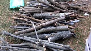 Processing Small Firewood  Efficient and Clean [upl. by Attenreb]