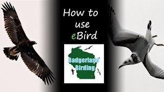 How to use eBird A Beginners Guide [upl. by Pascasia7]