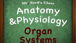 Introduction To Anatomy Physiology Organ Systems 0104 [upl. by Llerahc]