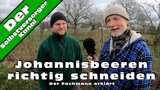 Johannisbeeren richtig schneiden Der Fachmann erklärt [upl. by Assadah935]