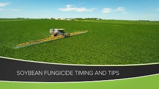 Soybean Fungicide Timing and Tips From Ag PhD 1158  Air Date 61420 [upl. by Macfarlane677]