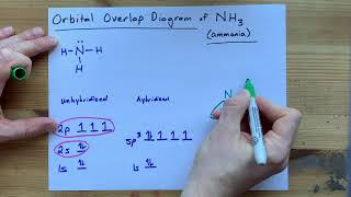 Draw the Orbital Overlap Diagram for NH3 ammonia [upl. by Eveneg]