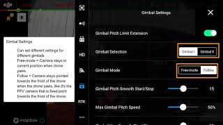 DJI Pilot Additional Settings with the Matrice 300RTK [upl. by Leruj660]