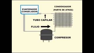 Como funciona un refrigerador [upl. by Adaminah455]