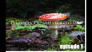 Discover Mushrooms in the PNW Documentary Episode 1 [upl. by Ecitsuj556]