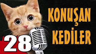 Kedi Oyuncağı Nasıl Yapılır  Minipatimini ile DIY [upl. by Sutsugua86]