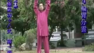 Qigong Chi Kung Shibashi Version 1 [upl. by Parker]