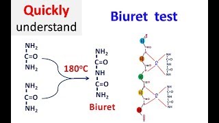 Biuret test [upl. by Stenger]