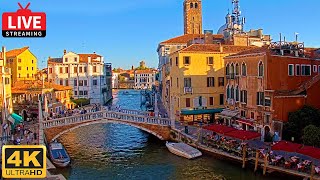 🔴 4K Live Cam of Ponte delle Guglie Venice  View from Hotel Leone Venezia  Live stream ライブカメラ [upl. by Nodnarb]