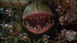 Little Shop of Horrors  Trailer 62 [upl. by Einalam]