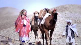 afghan new song Wayan Honarjo  Ishq HD [upl. by Stesha]