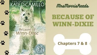 BECAUSE OF WINNDIXIE Chapters 7 amp 8 Read Aloud [upl. by Adnola]