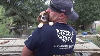 South Carolina Puppy Mill Rescue [upl. by Kosey]