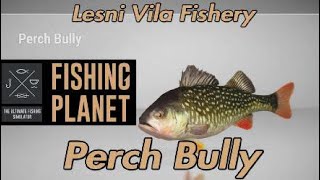 Perch Bully Monster Fish  Lesni Vila Fishery  Fishing Planet Guide [upl. by Spragens598]