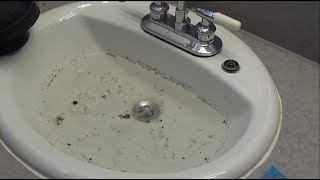 How to Unclog a Bathroom Sink [upl. by Ripley]