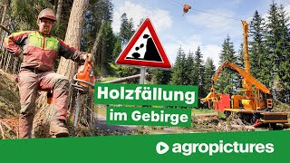 Holzernte mit Seilbahn am Steilhang  TST forestry 600 Gebirgsharvester und TST Timbernator [upl. by Vance]