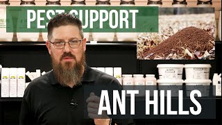 How do I get Rid of Ant Hills  Pest Support [upl. by Filippa]