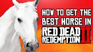 Red Dead Redemption 2  How to Get the BEST Horse Fast amp Easy Guide [upl. by Adyht]