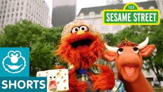 Sesame Street Old MacMurray Had A Farm [upl. by Eldreeda]