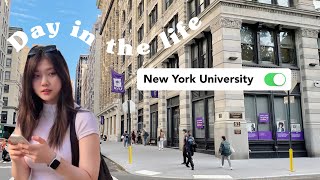 a day in the life of an  NYU student [upl. by Hollingsworth]