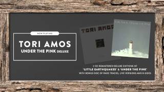 Tori Amos  quotUnder The Pinkquot Official Full Album Stream [upl. by Enowtna]