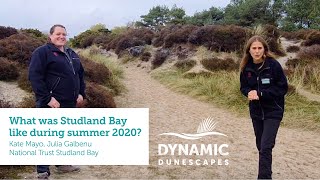 What was Studland Bay like during summer 2020 [upl. by Bixler]