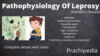 Pathophysiology of Leprosy [upl. by Neelehtak]