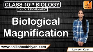 Biological Magnification  Our Environment  CBSE Class 10 Biology [upl. by Idmann458]