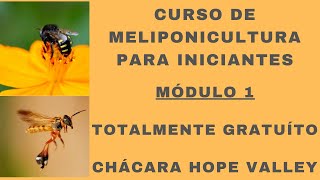 CURSO DE MELIPONICULTURA PARA INICIANTES  MÓDULO 1  A ARTE DE CRIAR ABELHAS SEM FERRÃO [upl. by Remington]