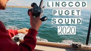 Lingcod fishing Puget Sound Washington  2020 [upl. by Eintihw]