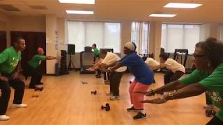 Strength Training Workout for Older Adults [upl. by Nnaylime]