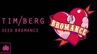 Tim Berg  Seek Bromance Aviciis Arena Mix [upl. by Dell37]