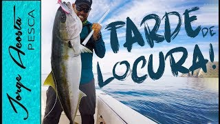 PESCA DE LOCURA Jureles Yellowtail ENORMES con JIGS y POPPERS [upl. by Repooc849]