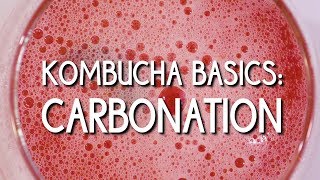 Kombucha Basics Carbonation [upl. by Leunas220]