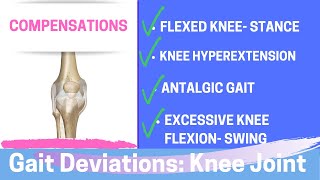 Gait Deviations Compensatory Knee Joint Strategies [upl. by Birdt]