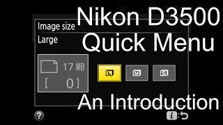 Intro to Nikon D3500 quick menu setup [upl. by Rupert]