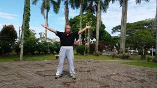 Taiji Qigong Shibashi  Set 2 [upl. by Kallman]