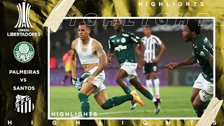 Palmeiras vs Santos  LIBERTADORES FINAL HIGHLIGHTS  1302021  beIN SPORTS USA [upl. by Anialed530]