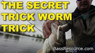 Trick Worm Tips for Bass Fishing Never Revealed  Until Now [upl. by Atonsah]